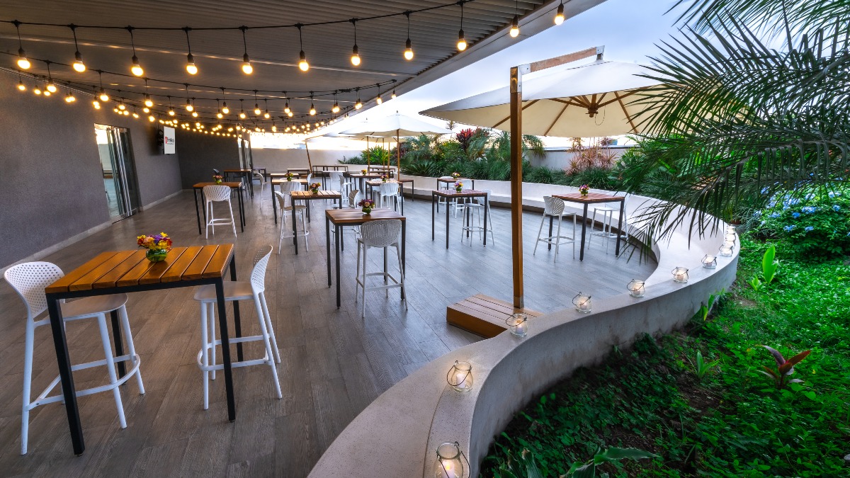 SKY GARDEN - imagen adicional